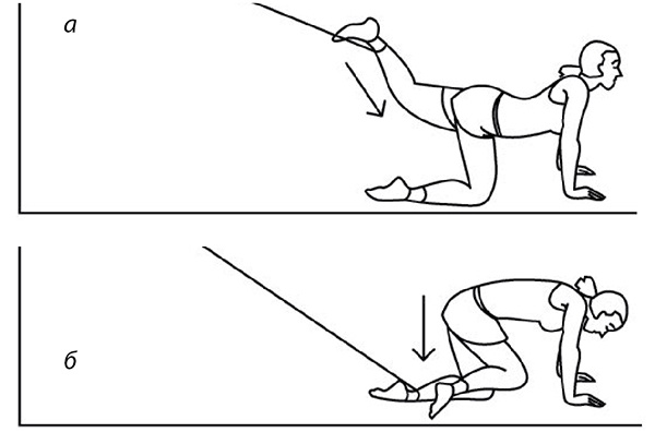 Иллюстрация к книге — 100 лет активной жизни, или Секреты здорового долголетия. 1000 ответов на вопросы, как вернуть здоровье [i_107.jpg]