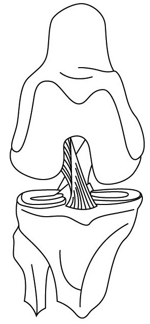 Иллюстрация к книге — 100 лет активной жизни, или Секреты здорового долголетия. 1000 ответов на вопросы, как вернуть здоровье [i_116.jpg]