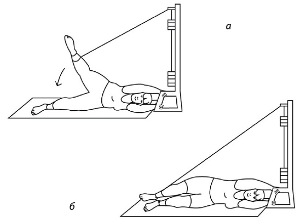 Иллюстрация к книге — 100 лет активной жизни, или Секреты здорового долголетия. 1000 ответов на вопросы, как вернуть здоровье [i_122.jpg]