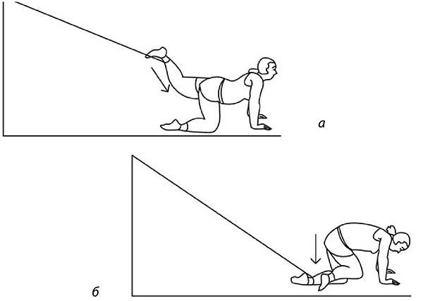 Иллюстрация к книге — 100 лет активной жизни, или Секреты здорового долголетия. 1000 ответов на вопросы, как вернуть здоровье [i_123.jpg]