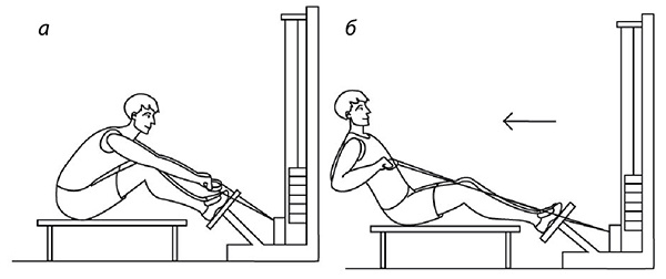 Иллюстрация к книге — 100 лет активной жизни, или Секреты здорового долголетия. 1000 ответов на вопросы, как вернуть здоровье [i_131.jpg]