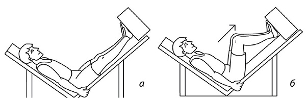 Иллюстрация к книге — 100 лет активной жизни, или Секреты здорового долголетия. 1000 ответов на вопросы, как вернуть здоровье [i_132.jpg]