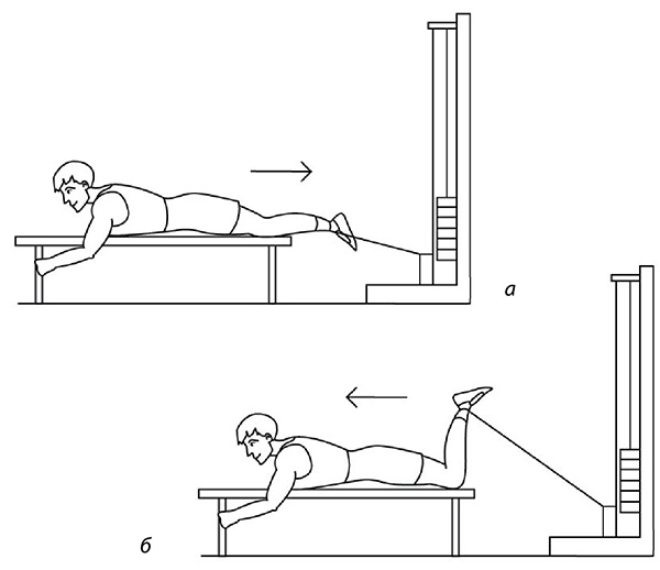 Иллюстрация к книге — 100 лет активной жизни, или Секреты здорового долголетия. 1000 ответов на вопросы, как вернуть здоровье [i_133.jpg]