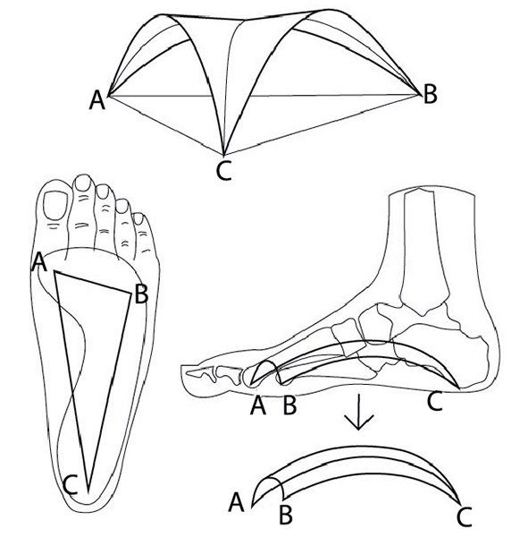 Иллюстрация к книге — 100 лет активной жизни, или Секреты здорового долголетия. 1000 ответов на вопросы, как вернуть здоровье [i_134.jpg]