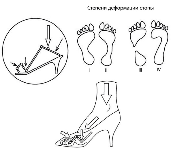Иллюстрация к книге — 100 лет активной жизни, или Секреты здорового долголетия. 1000 ответов на вопросы, как вернуть здоровье [i_137.jpg]