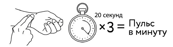 Иллюстрация к книге — 100 лет активной жизни, или Секреты здорового долголетия. 1000 ответов на вопросы, как вернуть здоровье [i_144.jpg]