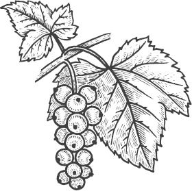 Иллюстрация к книге — Большая энциклопедия садовода-огородника от А до Я [_22.jpg]