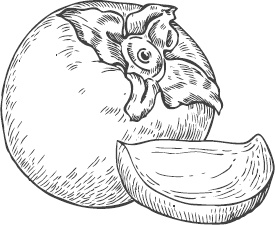 Иллюстрация к книге — Большая энциклопедия садовода-огородника от А до Я [_25.jpg]