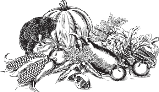 Иллюстрация к книге — Большая энциклопедия садовода-огородника от А до Я [_30.jpg]