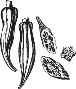 Иллюстрация к книге — Большая энциклопедия садовода-огородника от А до Я [_35.jpg]