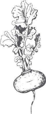 Иллюстрация к книге — Большая энциклопедия садовода-огородника от А до Я [_55.jpg]