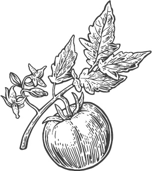 Иллюстрация к книге — Большая энциклопедия садовода-огородника от А до Я [_62.jpg]