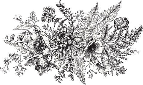 Иллюстрация к книге — Большая энциклопедия садовода-огородника от А до Я [_69.jpg]