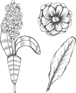 Иллюстрация к книге — Большая энциклопедия садовода-огородника от А до Я [_91.jpg]