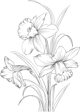 Иллюстрация к книге — Большая энциклопедия садовода-огородника от А до Я [_96.jpg]