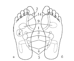 Иллюстрация к книге — Путь к здоровью от Травинки [autogen_ebook_id1.jpg]