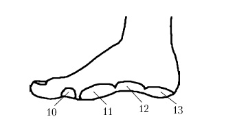 Иллюстрация к книге — Путь к здоровью от Травинки [autogen_ebook_id3.jpg]