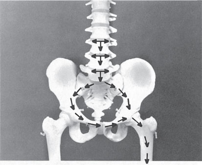 Иллюстрация к книге — Как лечить боли в спине и ревматические боли в суставах [i_006.jpg]