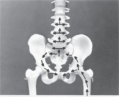 Иллюстрация к книге — Как лечить боли в спине и ревматические боли в суставах [i_007.jpg]