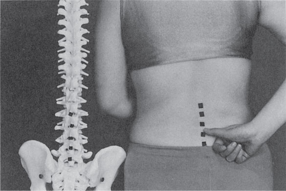 Иллюстрация к книге — Как лечить боли в спине и ревматические боли в суставах [i_010.jpg]