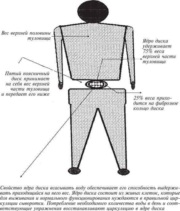 Иллюстрация к книге — Как лечить боли в спине и ревматические боли в суставах [i_042.jpg]