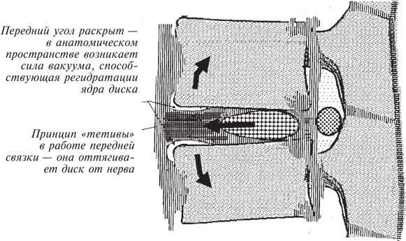Иллюстрация к книге — Как лечить боли в спине и ревматические боли в суставах [i_053.jpg]