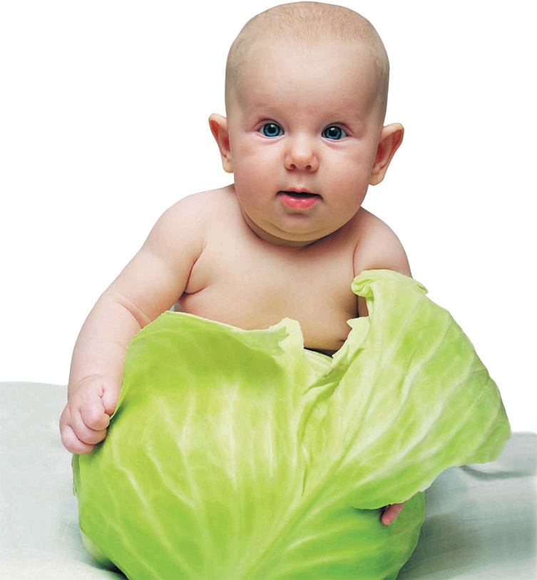 Иллюстрация к книге — От нуля до букваря [i_010.jpg]