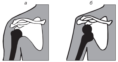 Иллюстрация к книге — Основы медицинских знаний. Учебное пособие [i_001.jpg]