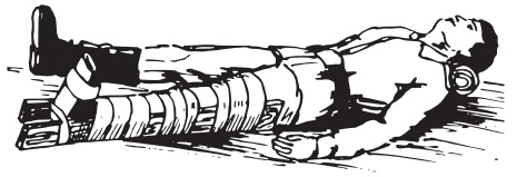 Иллюстрация к книге — Основы медицинских знаний. Учебное пособие [i_008.jpg]