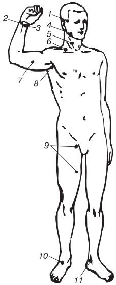 Иллюстрация к книге — Основы медицинских знаний. Учебное пособие [i_016.jpg]