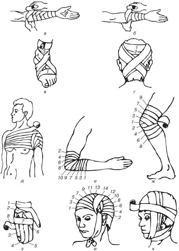 Иллюстрация к книге — Основы медицинских знаний. Учебное пособие [i_020.jpg]