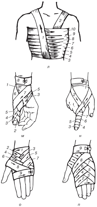 Иллюстрация к книге — Основы медицинских знаний. Учебное пособие [i_021.jpg]