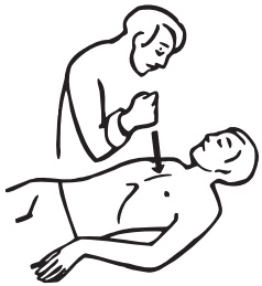 Иллюстрация к книге — Основы медицинских знаний. Учебное пособие [i_027.jpg]