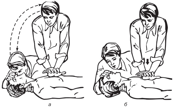 Иллюстрация к книге — Основы медицинских знаний. Учебное пособие [i_028.jpg]