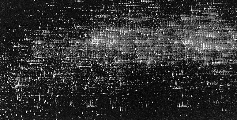 Иллюстрация к книге — Правила здоровой и долгой жизни [i_014.jpg]