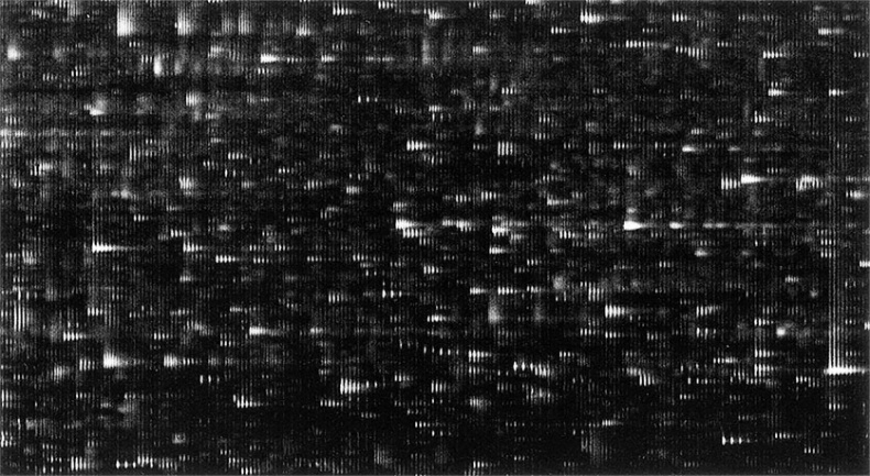 Иллюстрация к книге — Правила здоровой и долгой жизни [i_015.jpg]