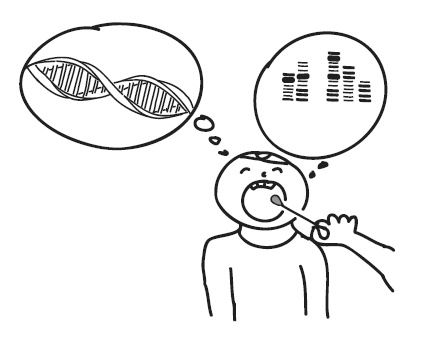 Иллюстрация к книге — Краткий гид по долгой жизни [i_021.jpg]