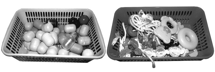 Иллюстрация к книге — Чудо-ребенок с самых пеленок. Пошаговая методика развития ребенка [i_018.jpg]