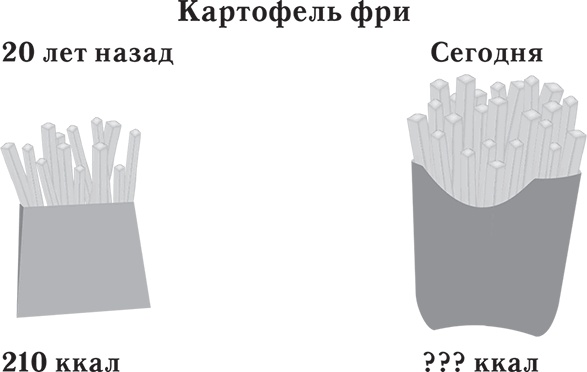 Иллюстрация к книге — Лишний вес – из головы! Диета для умных [autogen_ebook_id11.jpg]