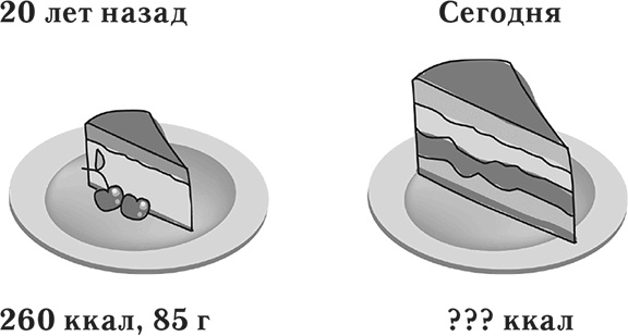 Иллюстрация к книге — Лишний вес – из головы! Диета для умных [autogen_ebook_id24.jpg]