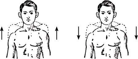 Иллюстрация к книге — Великая формула здоровья. Уникальный семинар автора, который помог миллионам [i_005.jpg]
