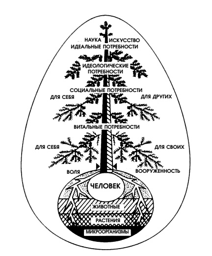 Иллюстрация к книге — Практика завоевания здоровья. Попрощайтесь с болезнями [i_004.jpg]