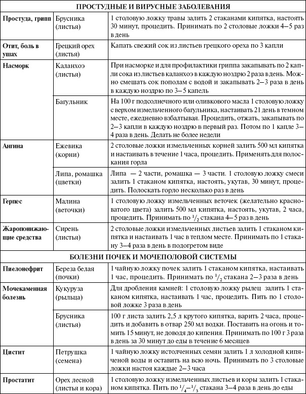 Иллюстрация к книге — Энциклопедия здорового питания. Большая книга о здоровой и вкусной пище [i_043.jpg]