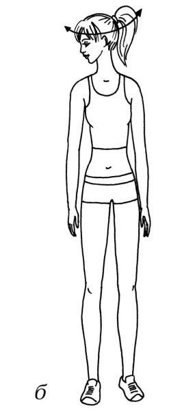 Иллюстрация к книге — Омоложение. Краткая энциклопедия [i_009.jpg]