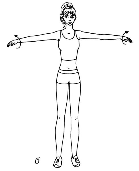 Иллюстрация к книге — Омоложение. Краткая энциклопедия [i_011.jpg]