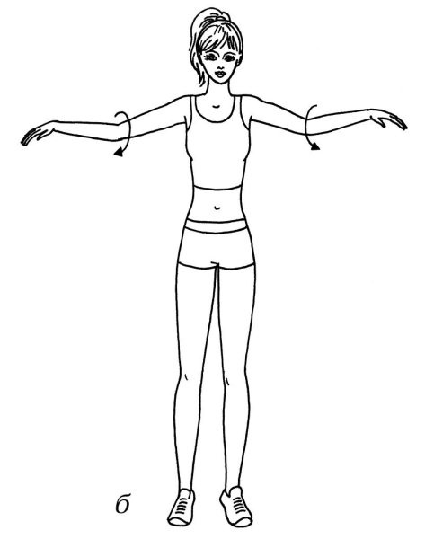 Иллюстрация к книге — Омоложение. Краткая энциклопедия [i_013.jpg]