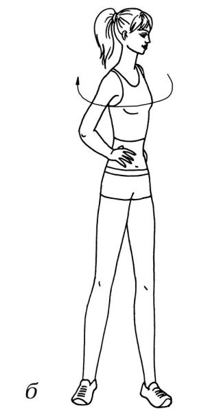 Иллюстрация к книге — Омоложение. Краткая энциклопедия [i_021.jpg]