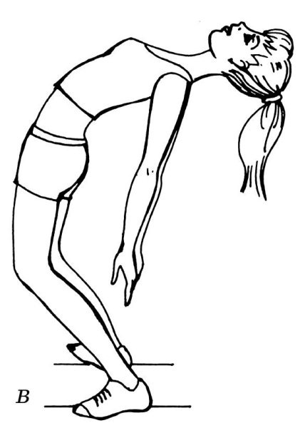 Иллюстрация к книге — Омоложение. Краткая энциклопедия [i_034.jpg]