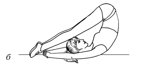 Иллюстрация к книге — Омоложение. Краткая энциклопедия [i_055.jpg]