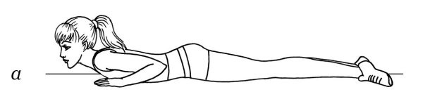 Иллюстрация к книге — Омоложение. Краткая энциклопедия [i_056.jpg]